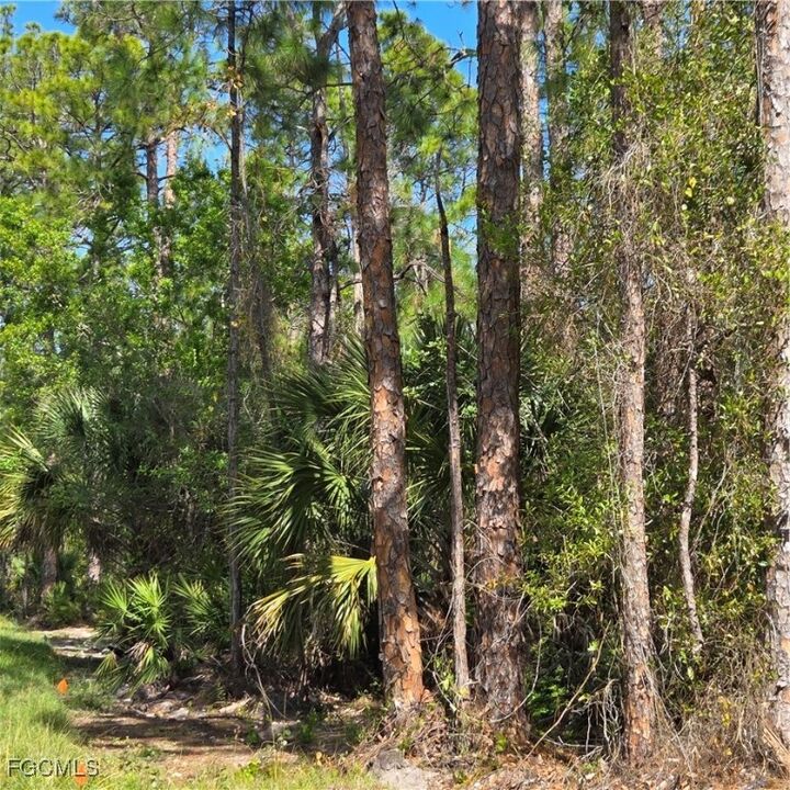 Property Photo:  47th Avenue NE  FL 34120 