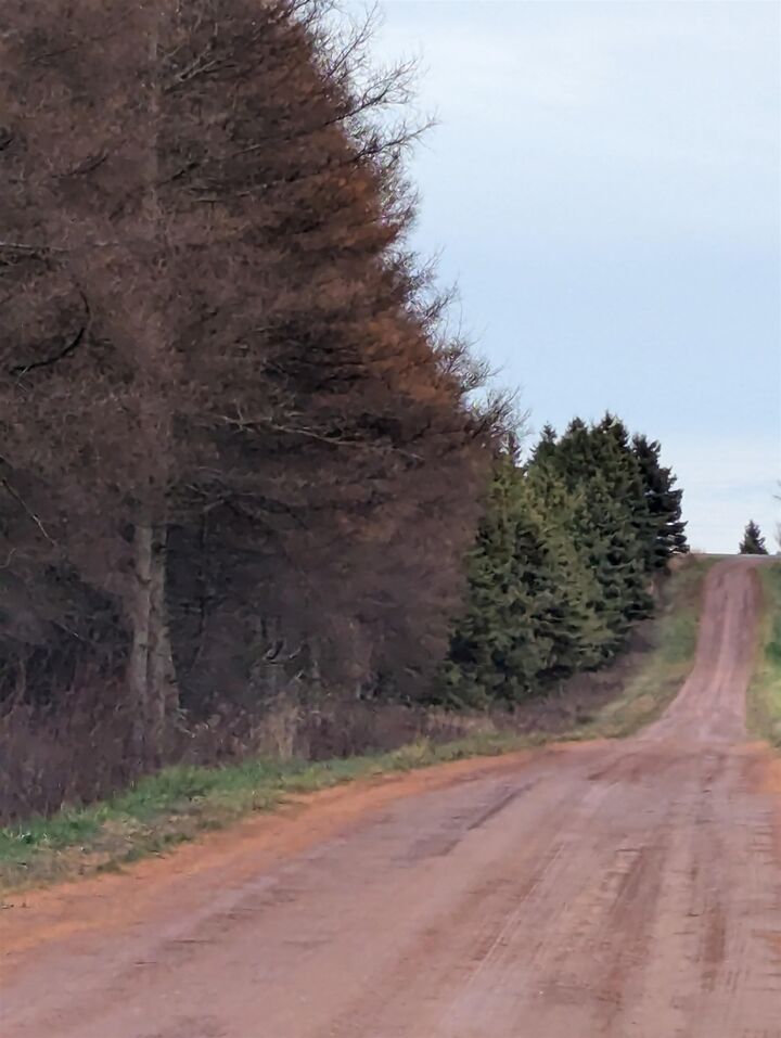 Acreage Jack Eloi Road — photo 1