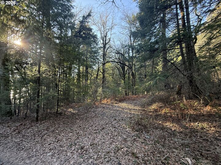 Property Photo:  Seward Rd  WA 98610 