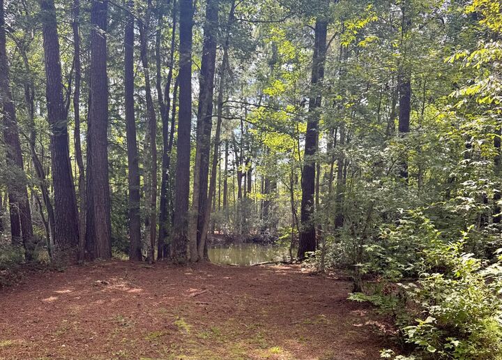 Property Photo:  153 Rutledge Drive  SC 29048 