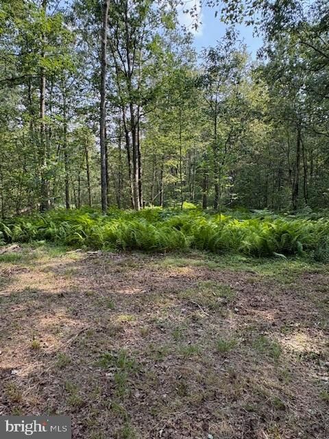 Property Photo: 186 Little Wolf Road PA 16874