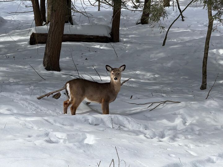 Property Photo: 25 Woolendean Rd PA 15801