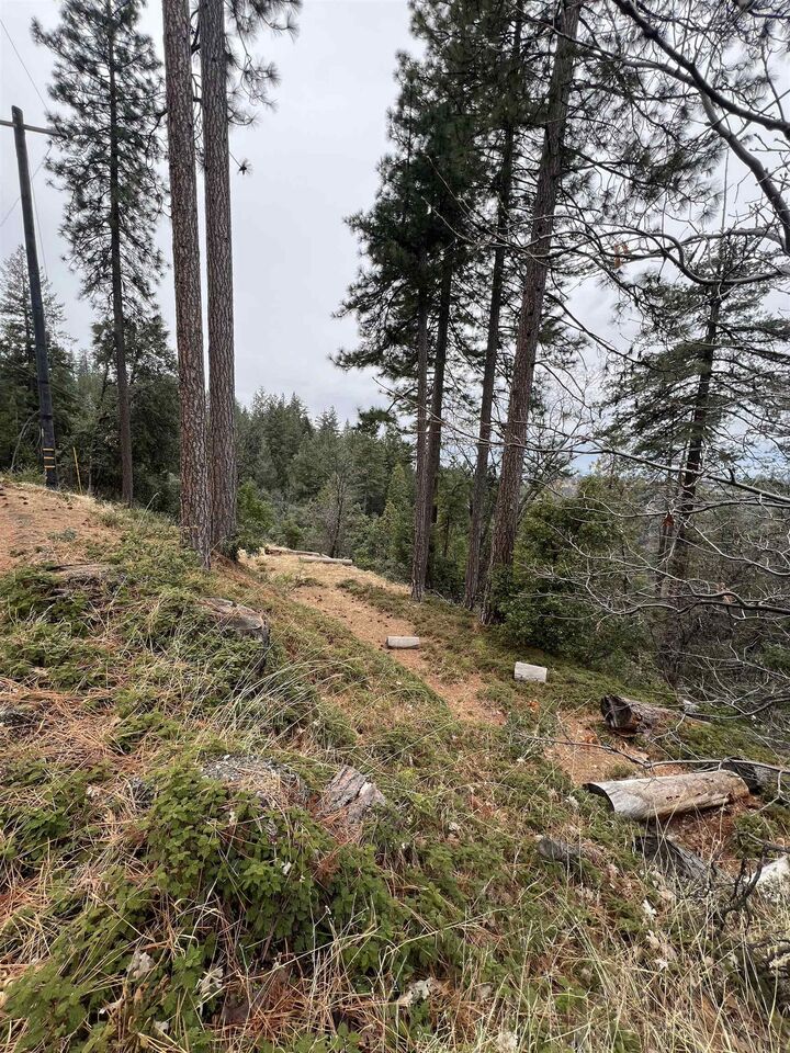 Property Photo:  19262 Tanglewood Trl.  CA 95383 