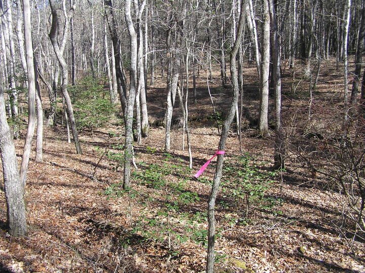 Property Photo:  975 Dell Lane  TN 38585 