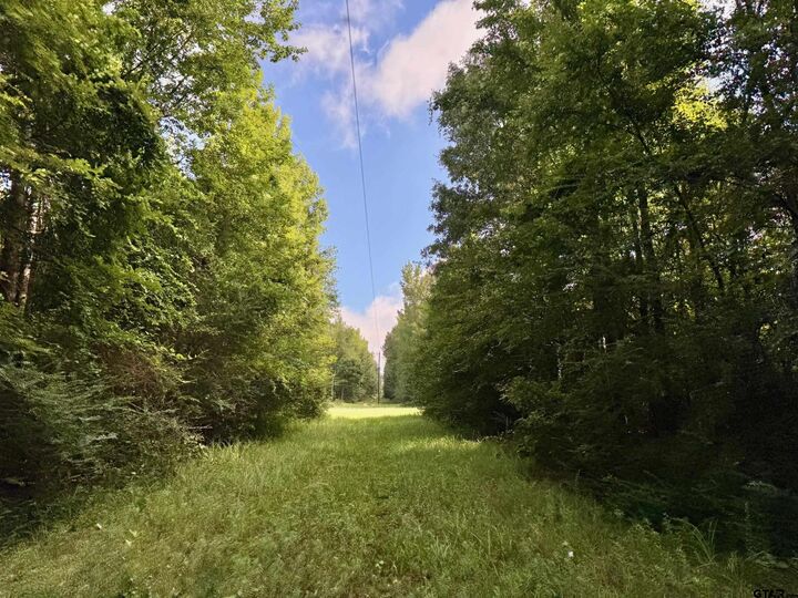 Property Photo: Tbd Cr 369 TX 75792