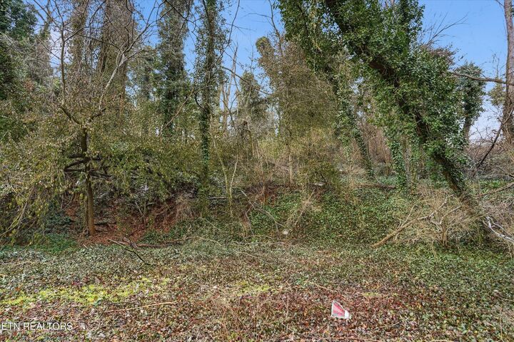 Property Photo:  0 Irene Ave  TN 37920 