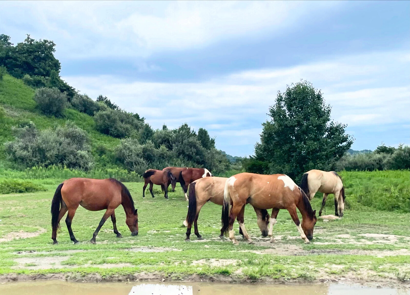 Property Photo: 0 Sugar Camp Rd. KY 41560