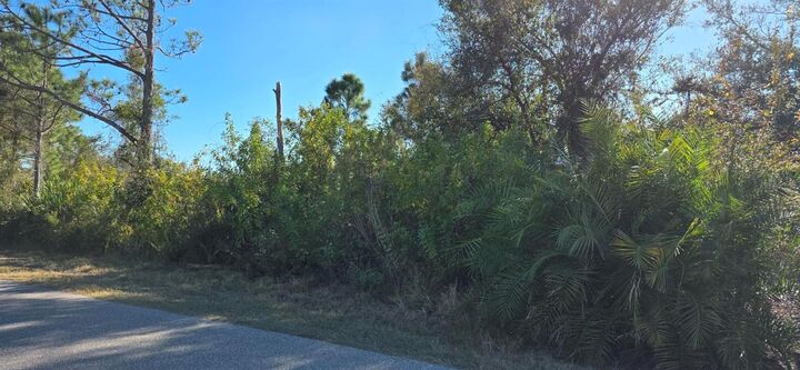 Property Photo:  5481 White Avenue  FL 33981 