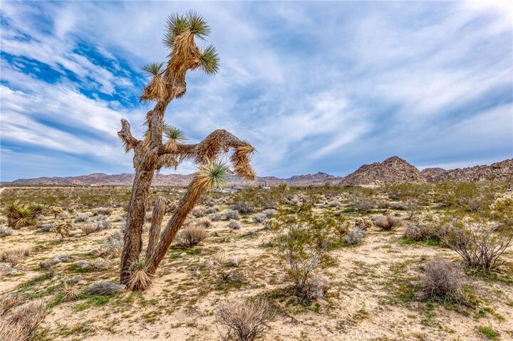 Property Photo: 130 Rd Hollinger CA 92252