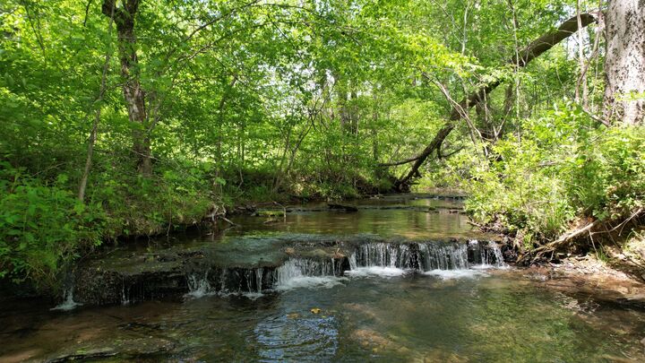 Property Photo:  3795 Wayland Springs Rd  TN 38463 