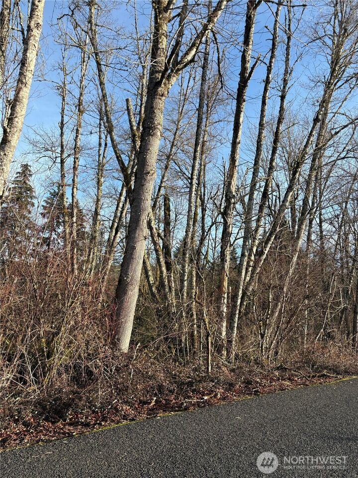 Property Photo:  128  Valley View Drive  WA 98564 