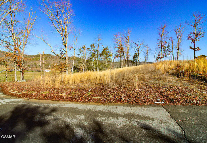 Property Photo:  3246 Samuel Wear Drive  TN 37862 