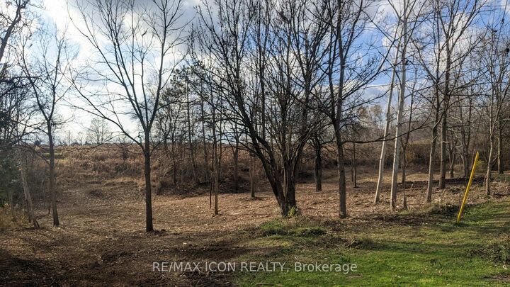 237 Frederick Street W — photo 1