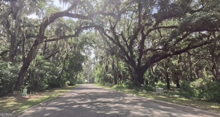 Property Photo:  919 Wagner Lane  GA 31558 