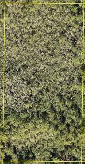 Property Photo:  Calvin Lee  FL 34711 