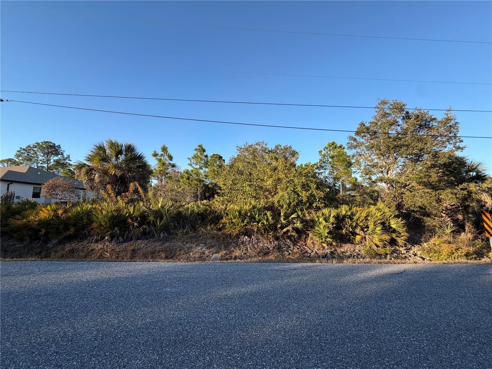 Property Photo:  Lots 35 &Amp 36 Hernando Road  FL 34287 