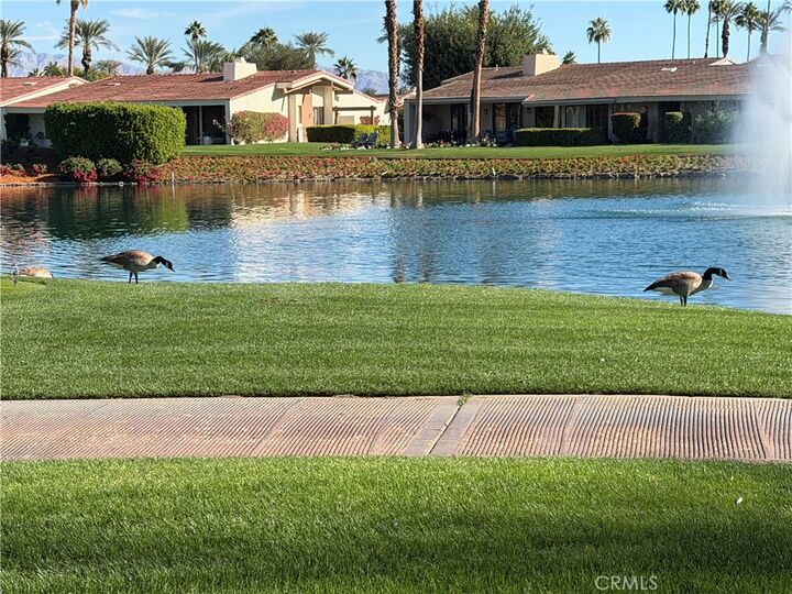 Property Photo:  44812 Del Dios Cir  CA 92210 