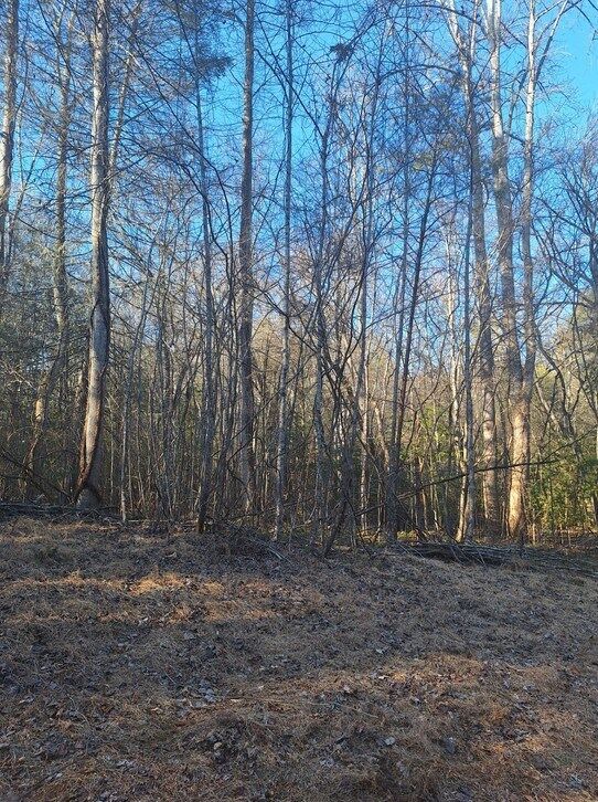 Property Photo:  Lots Bent Wood Lane  GA 30513 