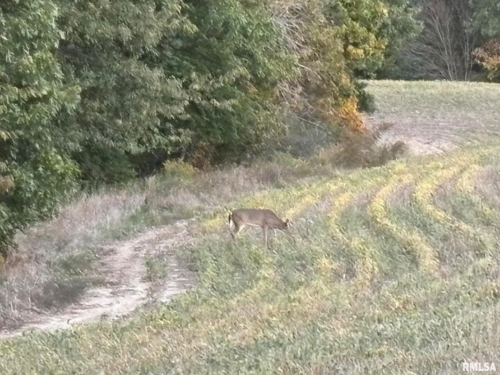 Property Photo:  N Tarters Ferry Lane  IL 61477 