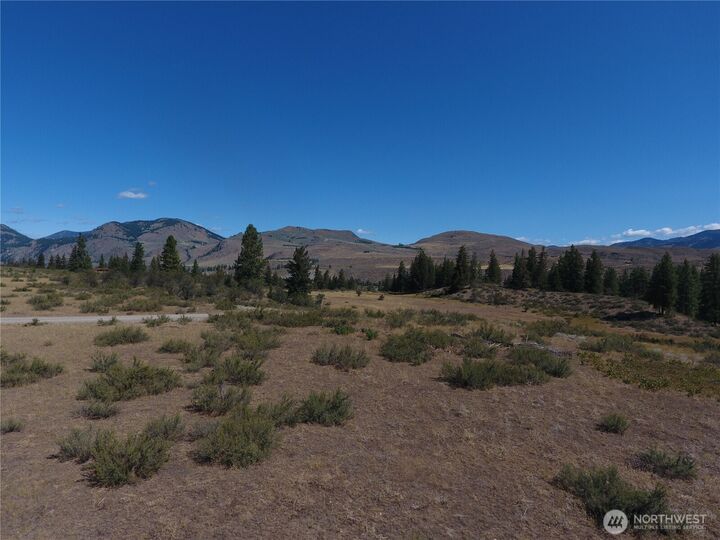 Property Photo:  1  Perrow Drive  WA 98862 