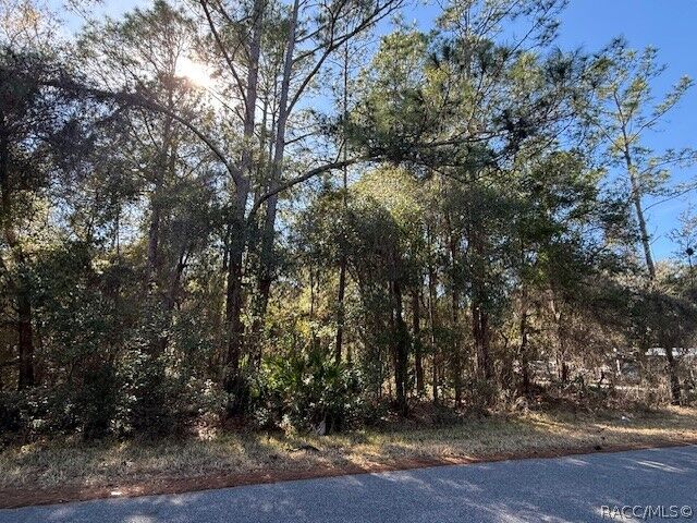 Property Photo:  4280 E Nugget Pass Place  FL 34434 