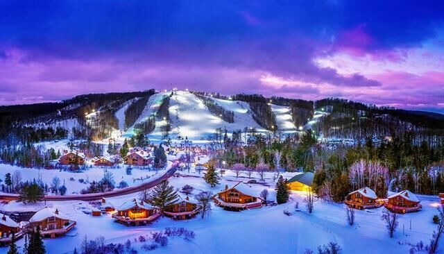 Property Photo:  6520 Schuss Mountain Lane  MI 49659 