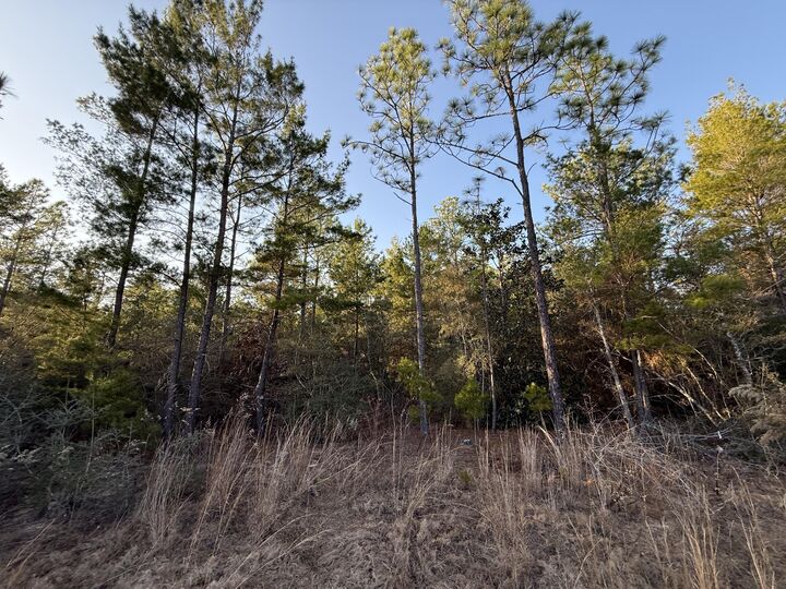 Property Photo:  Lot 5 Blk 54 On Forest Lane  FL 32433 