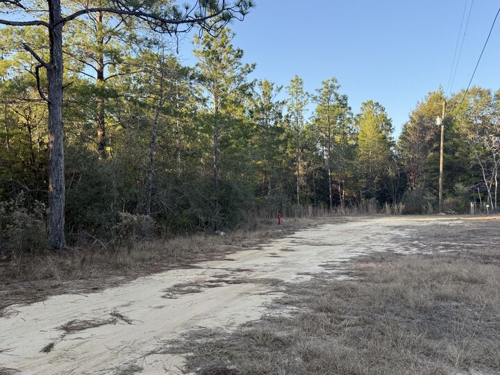 Property Photo:  Lot 5 Blk 54 On Forest Lane  FL 32433 