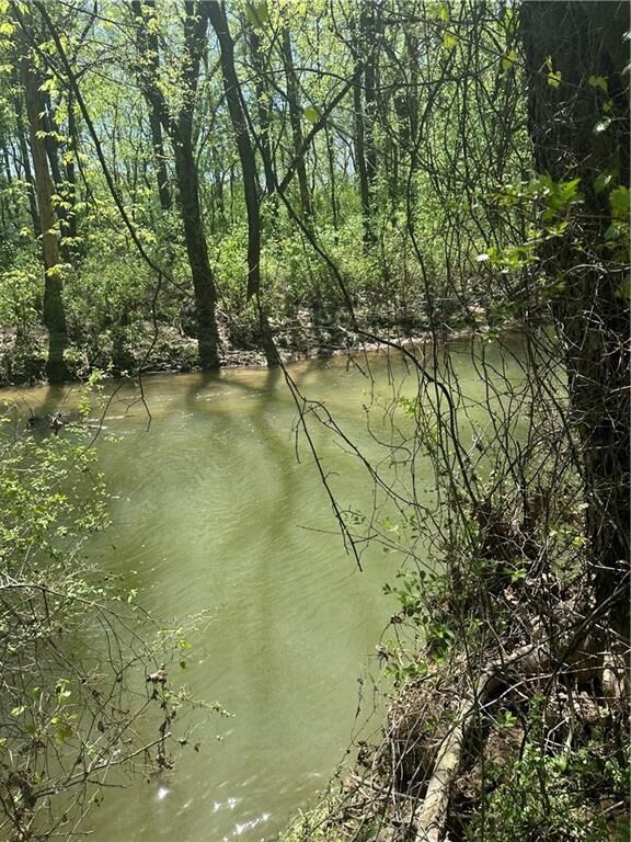 Property Photo: 0 N. 411 Hwy Highway GA 30705