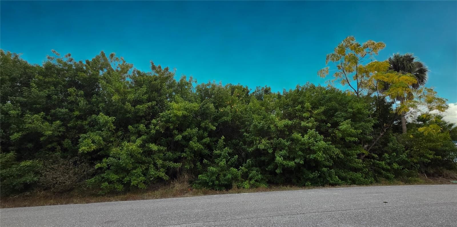 Property Photo: 3546 Coney Island Street FL 33952