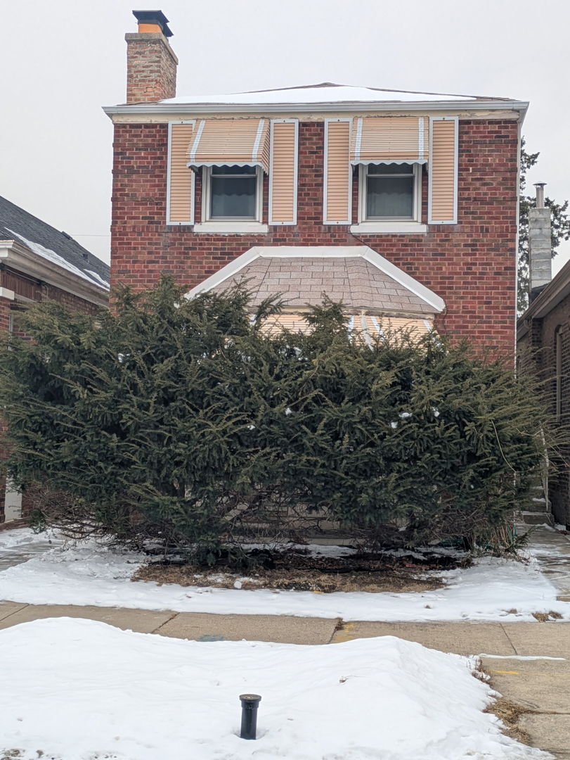 Property Photo:  8421 S Paulina Street  IL 60620 