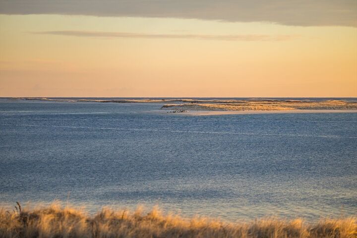 Property Photo:  150 Main Street  MA 02633 