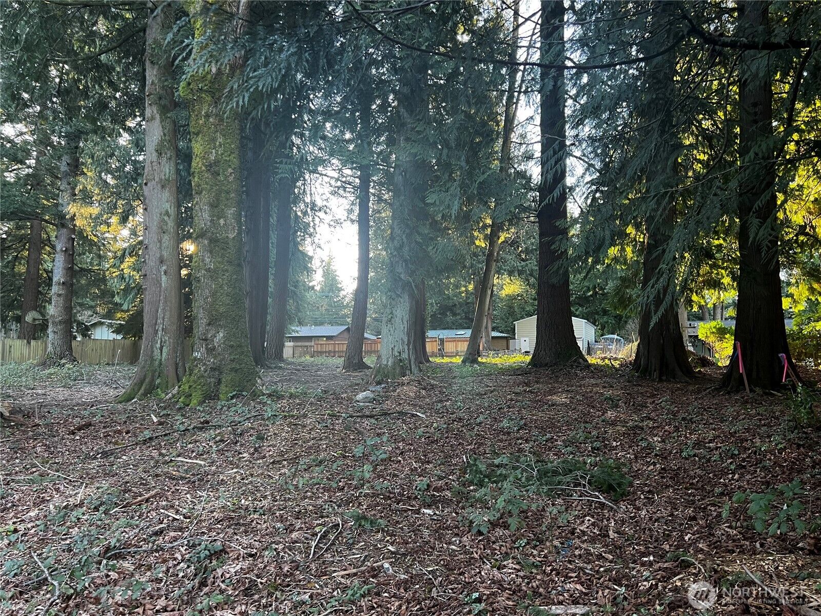 Property Photo:  0 Xxx  Forest View Drive  WA 98229 