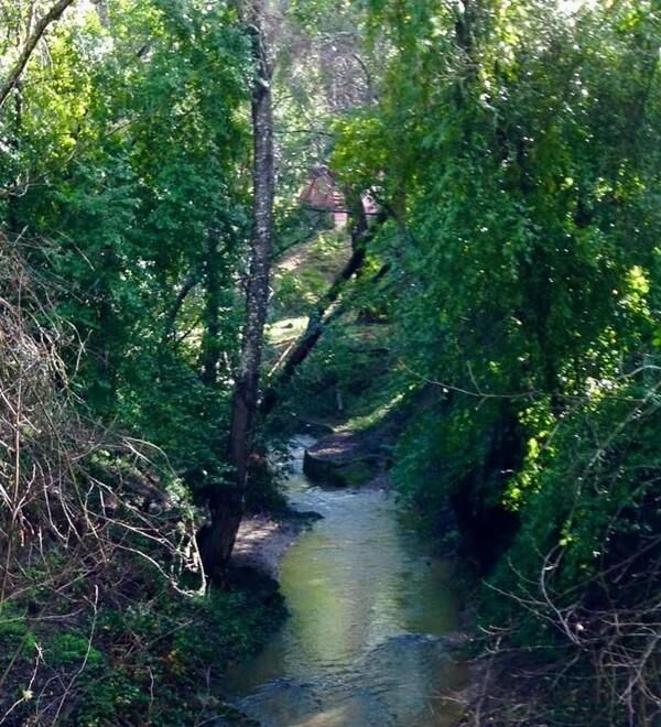 Property Photo: 383 Riverview Drive CA 95006