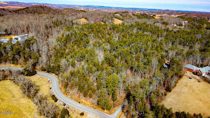 Property Photo:  Lot 4 Kellum Creek Road  TN 37876 