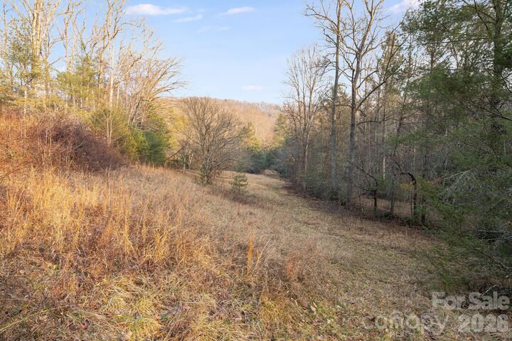 Property Photo: 0000 Red Eft Way NC 28742
