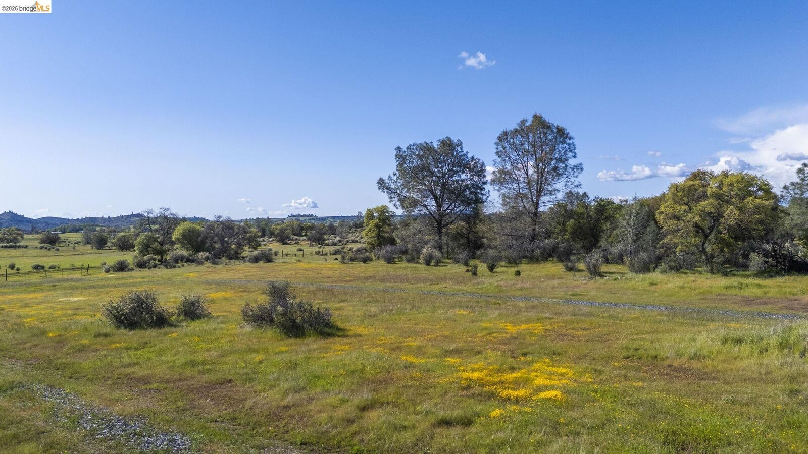 Property Photo: