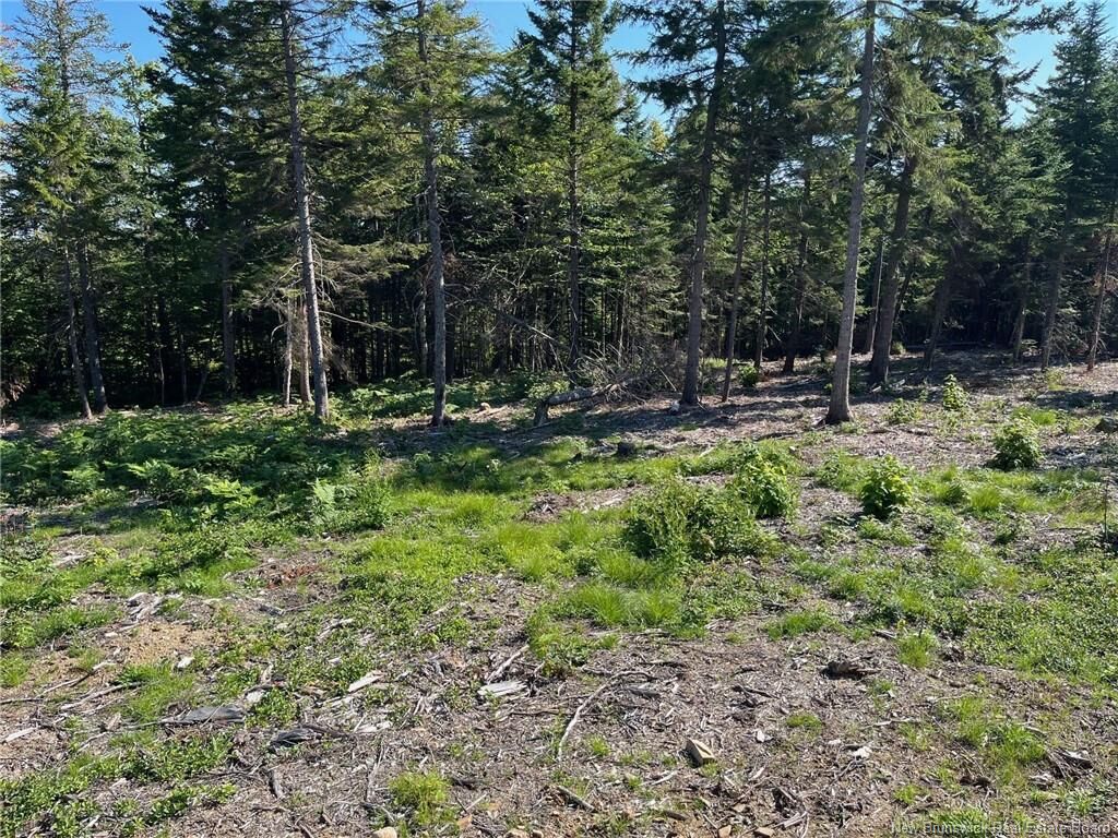 Photo de la propriété: 2021-1 Trailside Lane NB E3E 1S1