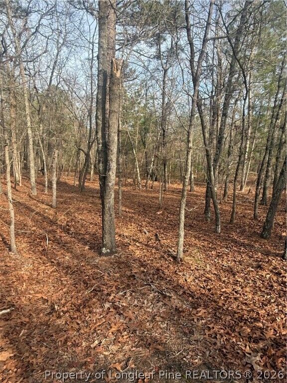 Property Photo:  0 Gully Branch Road  NC 28376 