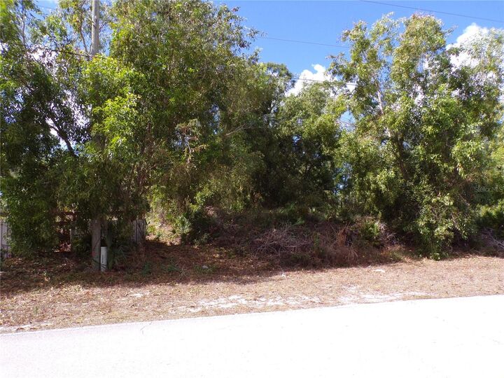 Property Photo:  12253 Green Gulf Boulevard  FL 33955 