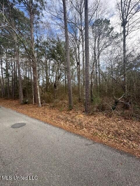 Property Photo:  Ms 53 Lot 4  MS 39503 