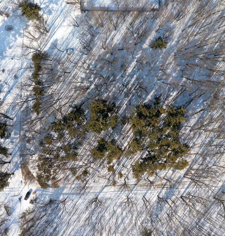 Property Photo:  22160 Country Trace  MI 49112 