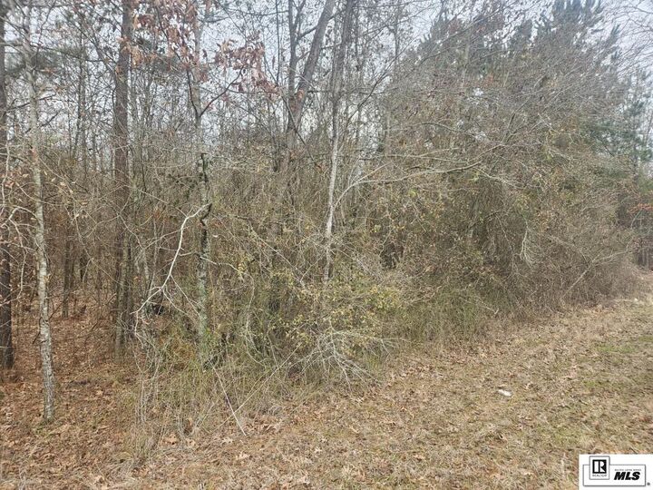 Property Photo:  0 Highway 837  LA 71225 