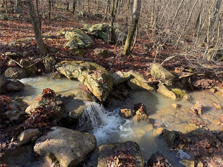 Property Photo:  Tbd 002 Plumlee Rd  AR 72611 