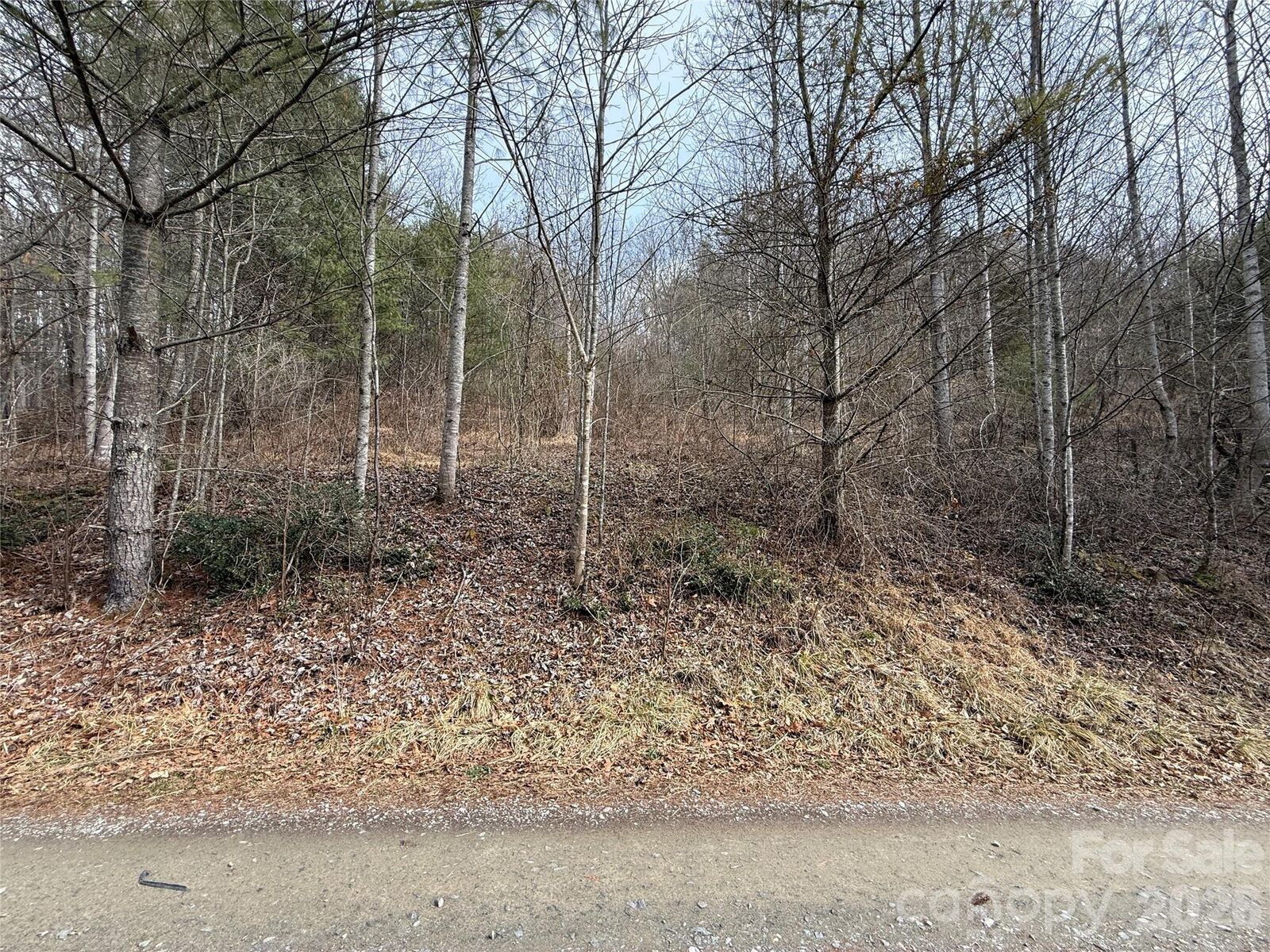 Property Photo: 000 Rosalie Lane 5 NC 28785