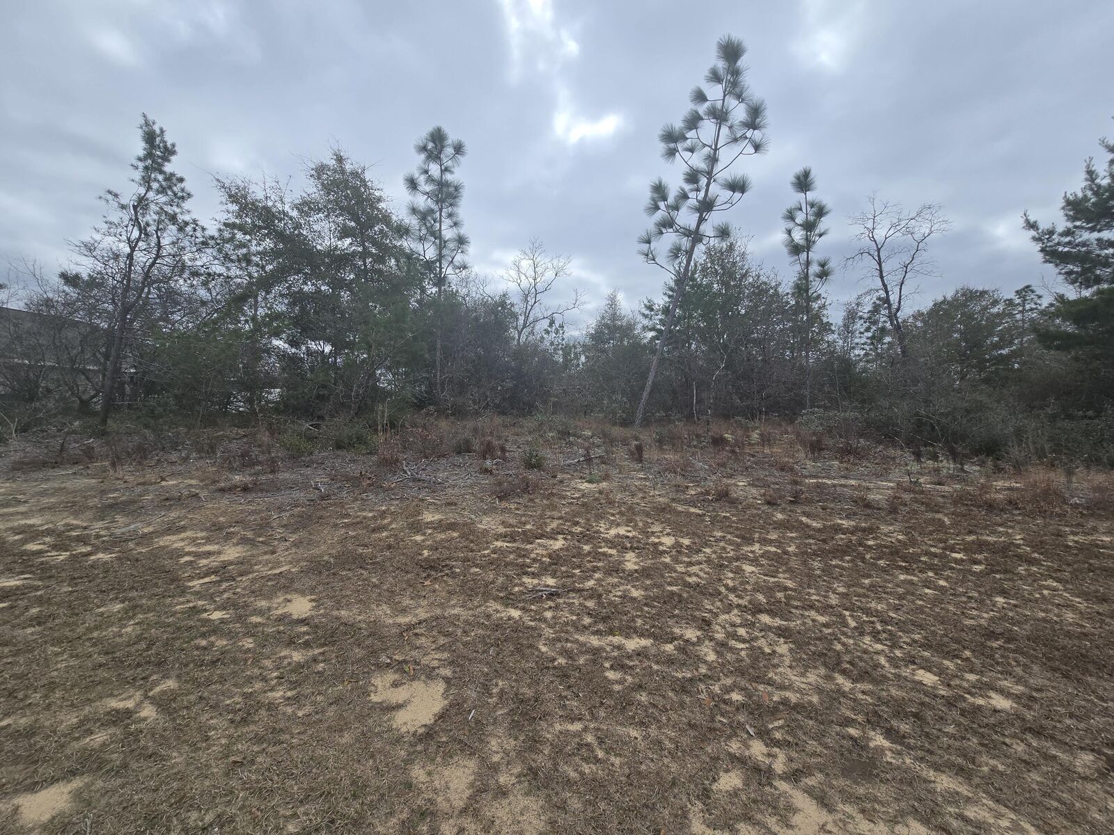 Property Photo:  Tbd Elkcam Boulevard  FL 32428 