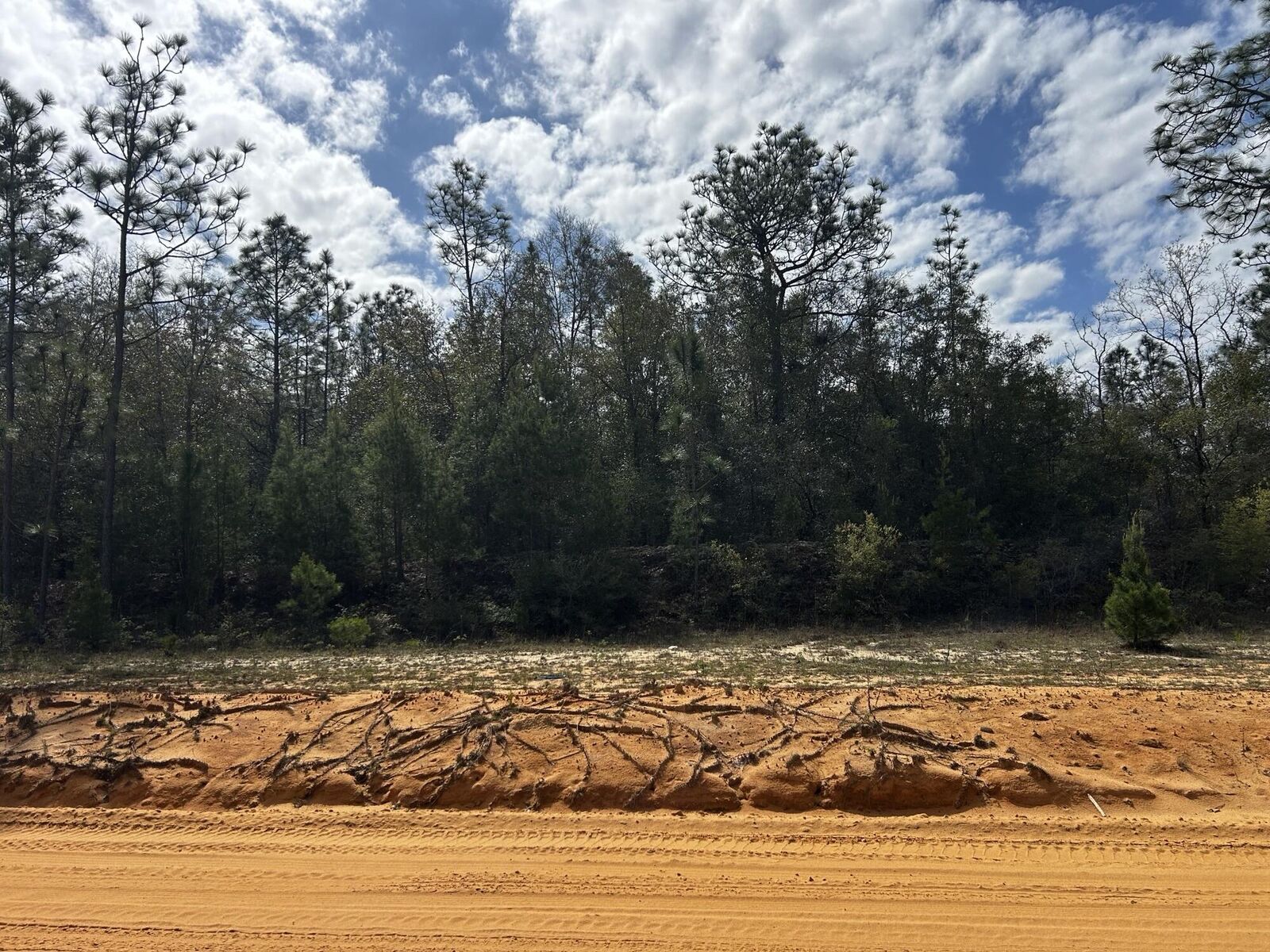 Property Photo:  Tbd Elkcam Boulevard  FL 32428 