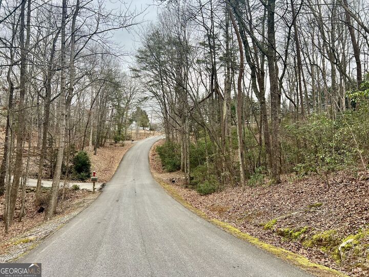 Property Photo:  0 Willows Drive  GA 30528 