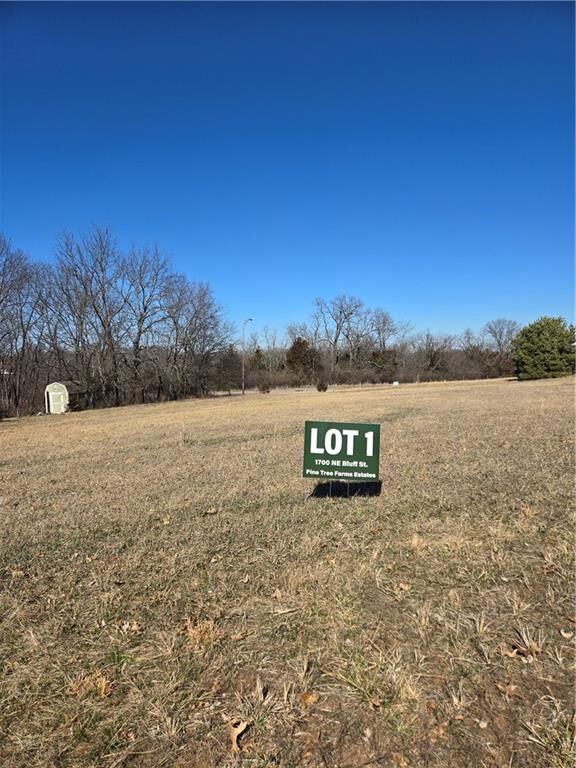 Property Photo:  1700 NE Bluff Street  MO 64086 