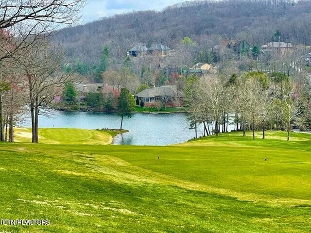 Property Photo:  24 Chipman Court  TN 38558 